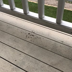 Meet your Posher, Lynn